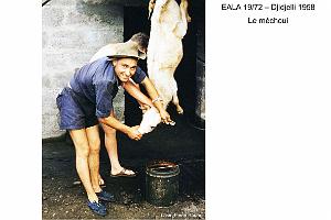 192- ARMEE DE L'AIR EN ALGERIE 1945-1962-40 (54)